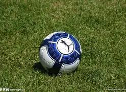 股民索赔新,闻引潮新浪,维权平台,奇异果体育平台,奇异果体育官方网站,奇异果体育登录入口,奇异果体育app下载