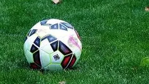 奇异果体育 资讯 091756 krt