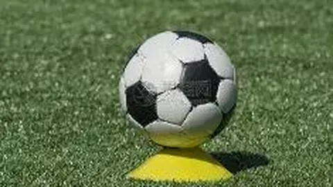 奇异果体育 资讯 091814 6m9