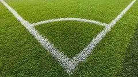 奇异果体育 产品 092358 bgw