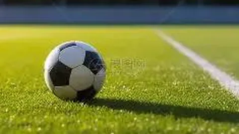 黄金基金ETF（159812）同类吸金领先，249.2万元净流入位居榜首